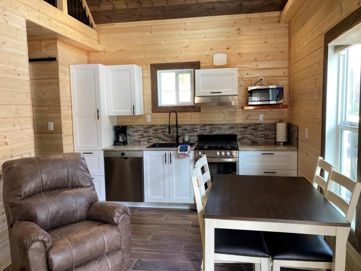 Cougar Mountain Lodge And Resort Cabin Rentals Valemount Exterior foto